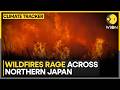 Japan Wildfires: Thousands Evacuate as Flames Spread | WION Climate Tracker