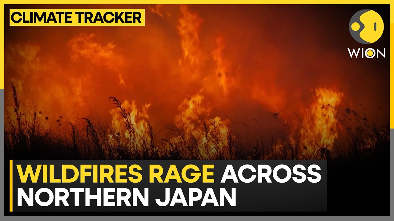 Japan Wildfires: Thousands Evacuate as Flames Spread | WION Climate Tracker