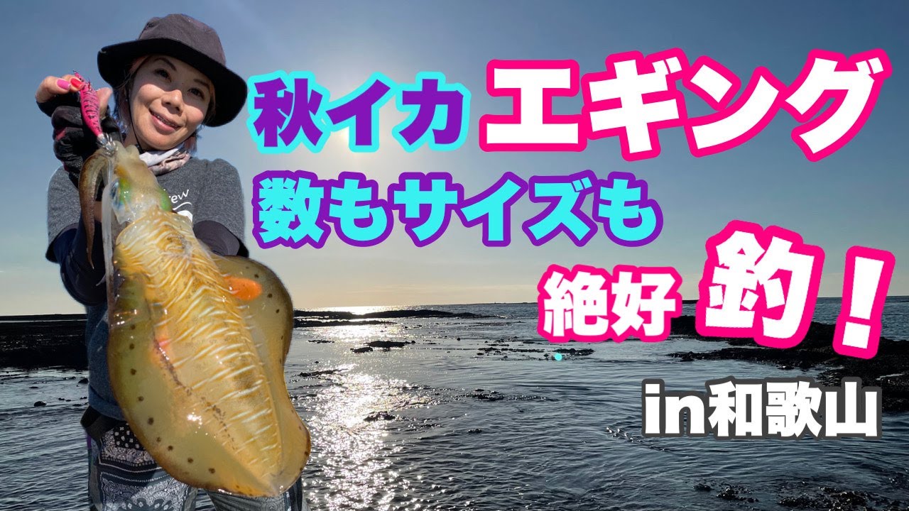 エギング 爆釣 絶好調の 秋イカ 数もサイズも In和歌山 釣りガール 最新 人気釣りyoutube動画まとめサイト West