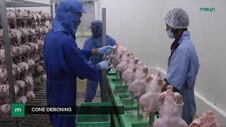 Meyn® LEAP concept from 1,500 to 15,000 bph