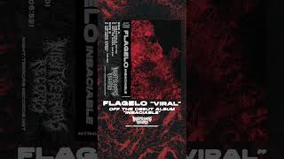 Flagelo - Viral