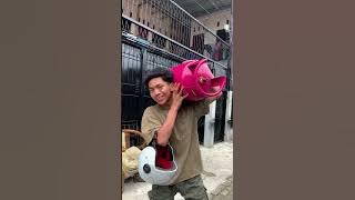 Download lagu mana bray berasap kita bray pinggir sunge