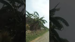 urte badol se puchho #shortvideo #viralvideo #subscribe