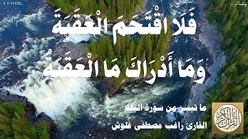 090 1 راغب مصطفى غلوش - سورة البلد - مقطع مميز 02