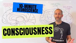 10-Minute Neuroscience: Consciousness