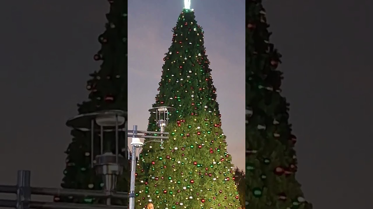 A Mysterious Christmas Night at ICON Park 🎄❄️ Snow, Lights & Wonder - Noche Navideña en ICON Park