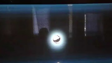 PS3 Jailbreak 4.46 REBUG DEX W/ONLINE 4.65 ACCESS CUSTOMER EXAMPLE!!