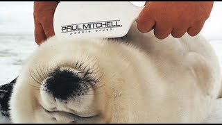 John Paul DeJoria Shares the Philosophy Behind John Paul Mitchell Systems®