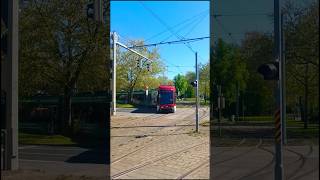 BSVG Solaris Tramino 1464 Braunschweig John-F.-Kennedy-Platz