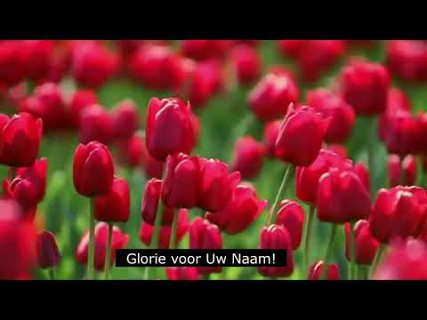 Machtig God, sterke Rots