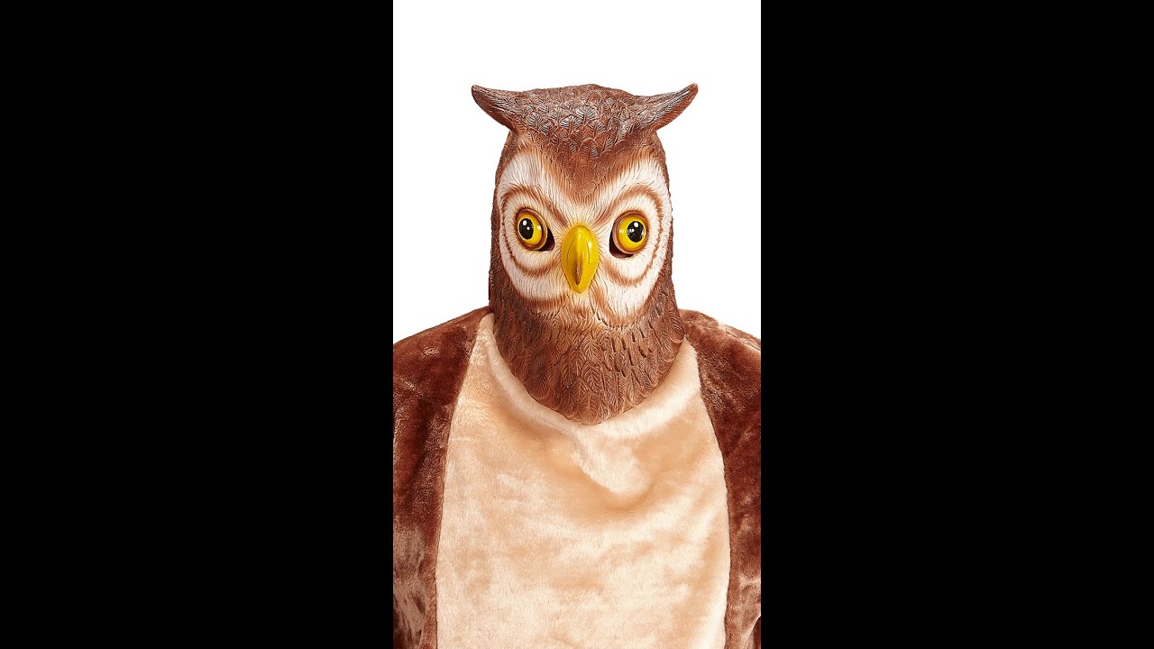 96634 - "OWL FULL HEAD MASK" 