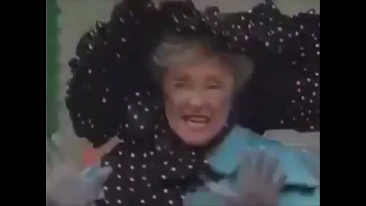 Honk Honk A Goose On The Loose Barney Honk! Honk! A Goose on the Loose! 1998 VHS - YouTube