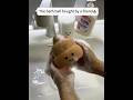 #BathSponge #ShowerHumor #FunnyBath