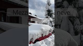La Più Abbondante Dellinverno. Mezzo Metro Di In Paese