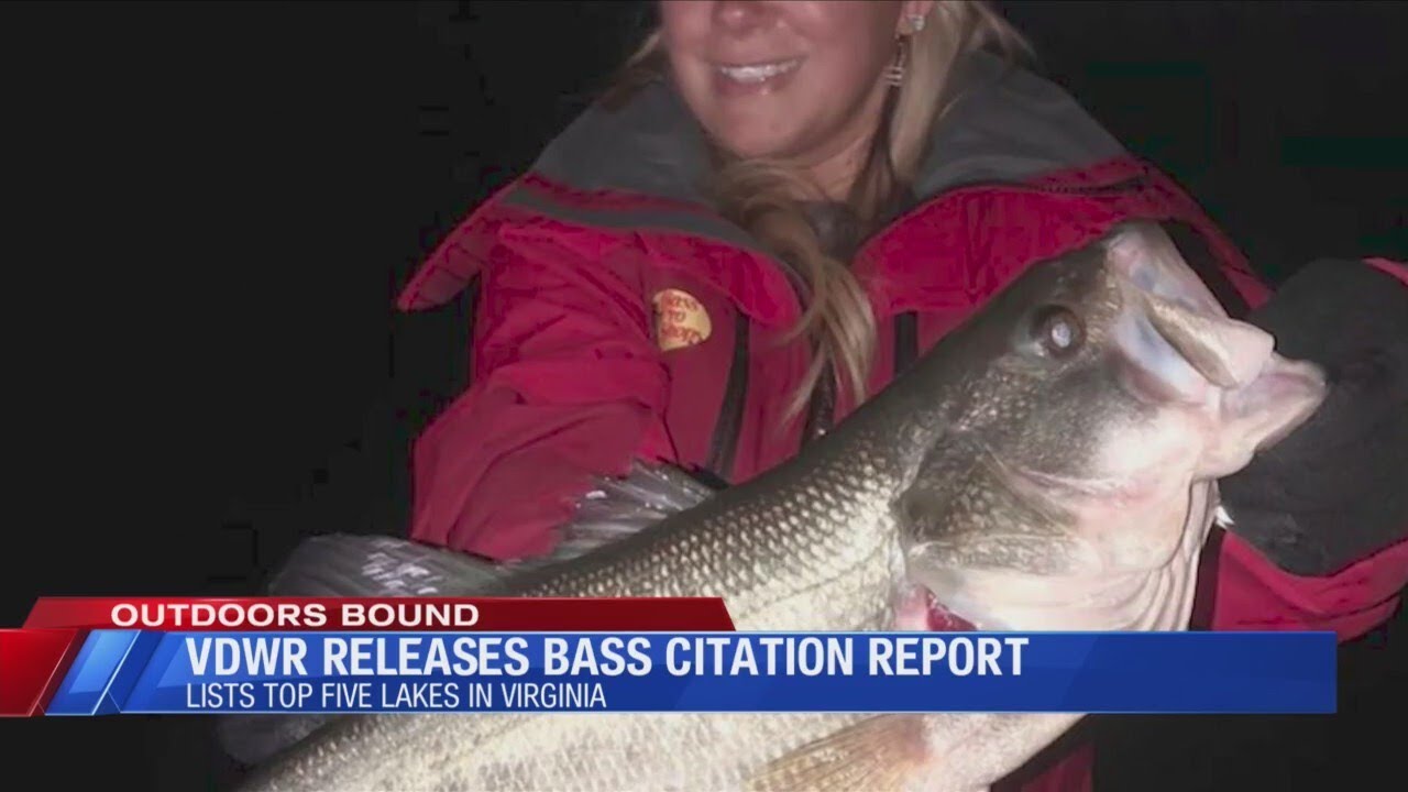 Outdoors Bound: VDWR Citation Largemouth Lakes