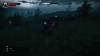 Witcher 3: Shrieker contract (death march difficulty)
