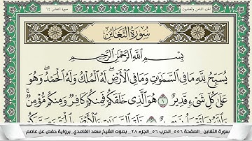 سورة التغابن | سعد الغامدي