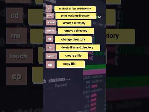 Linux Basic Commands