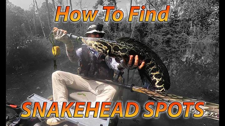 Snakehead Fishing Spots: How to Find Them Using These Websites & Tools; Tips to Find Snakehead - DayDayNews