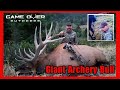 Big 380" bull elk bowhunting in the rut - September archery hunt at its best!