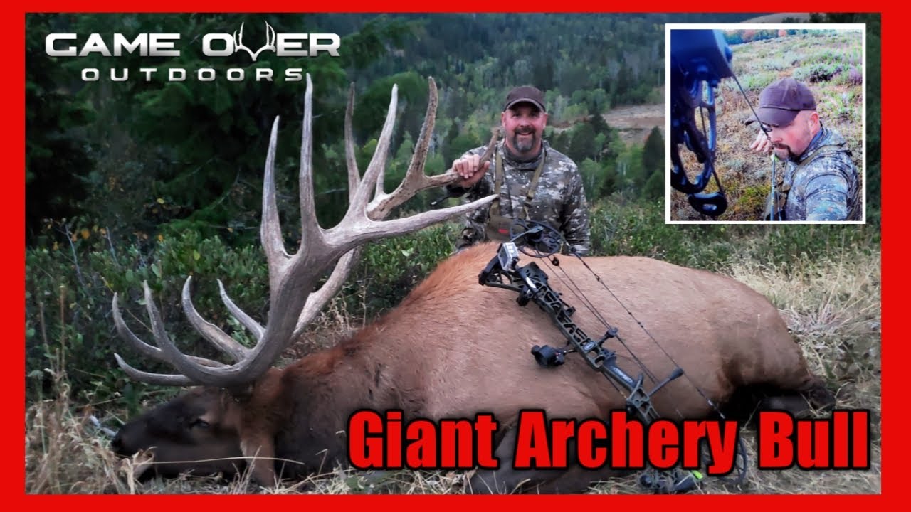 Big 380" bull elk bowhunting in the rut September archery hunt at its