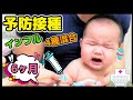 【赤ちゃん】予防接種でギャン泣き？！4種混合＆インフルエンザ 注射！らいトンの恋愛事情…？6 months old baby Cry? Baby vaccination.【6ヶ月】