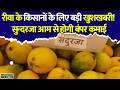 रीवा के किसानों के लिए बड़ी खबर! सुन्दरजा आम की खेती से बदल सकती है तकदीर