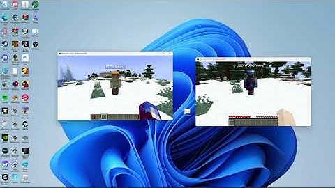 how to play splitscreen on pc tutorial