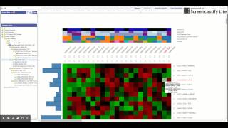 SmartR - Heatmap Analysis