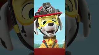 Marshall Leads the Rescue to Stop a Forest Fire! 🔥🚒