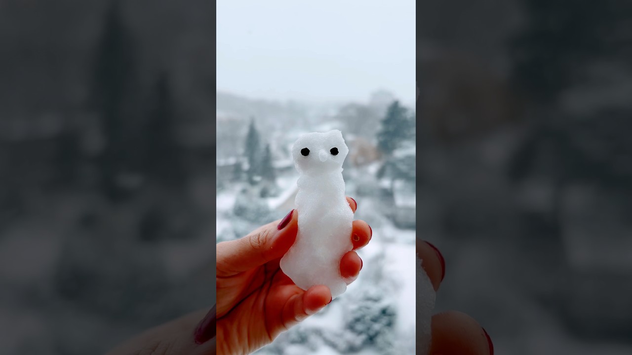 Berlin Turns Into a Winter Wonderland ❄️🤍 #snow #shorts #shortsvideo #berlin #snowfall