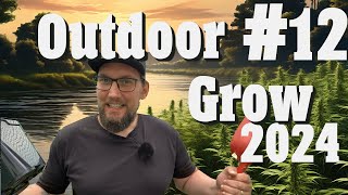 Cannabis Outdoor Grow 2024: Root Fail, Repotting, Mulch Talk & Auto Update | EP 12