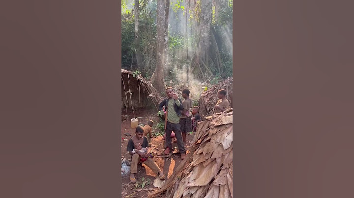 Documentando en África. Vivir con los Pigmeos en la selva de Camerun.