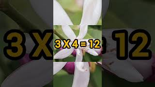 Çarpim Tablosu 3 Ler Kolay Ezber