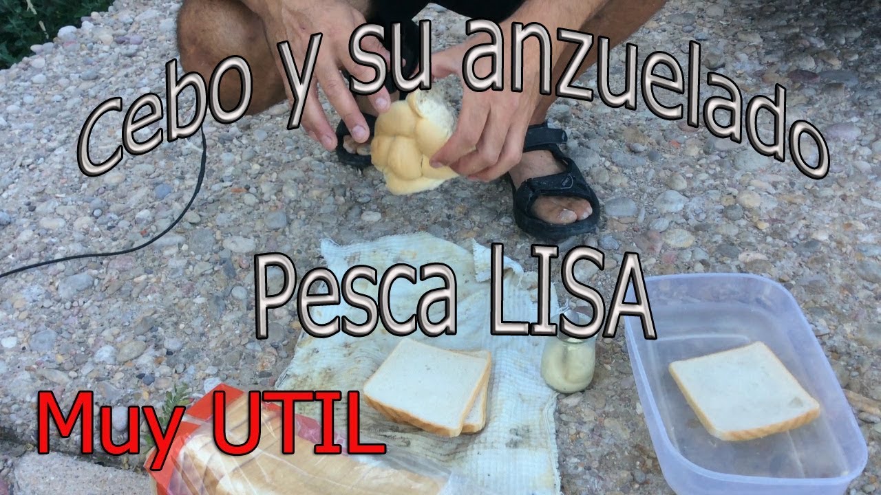 Tipos de Pan  para hacer masilla y pescar  la lisa a corcheo mar . MUY ÚTIL