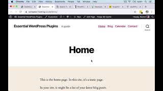 WordPress Backup Plugin Options