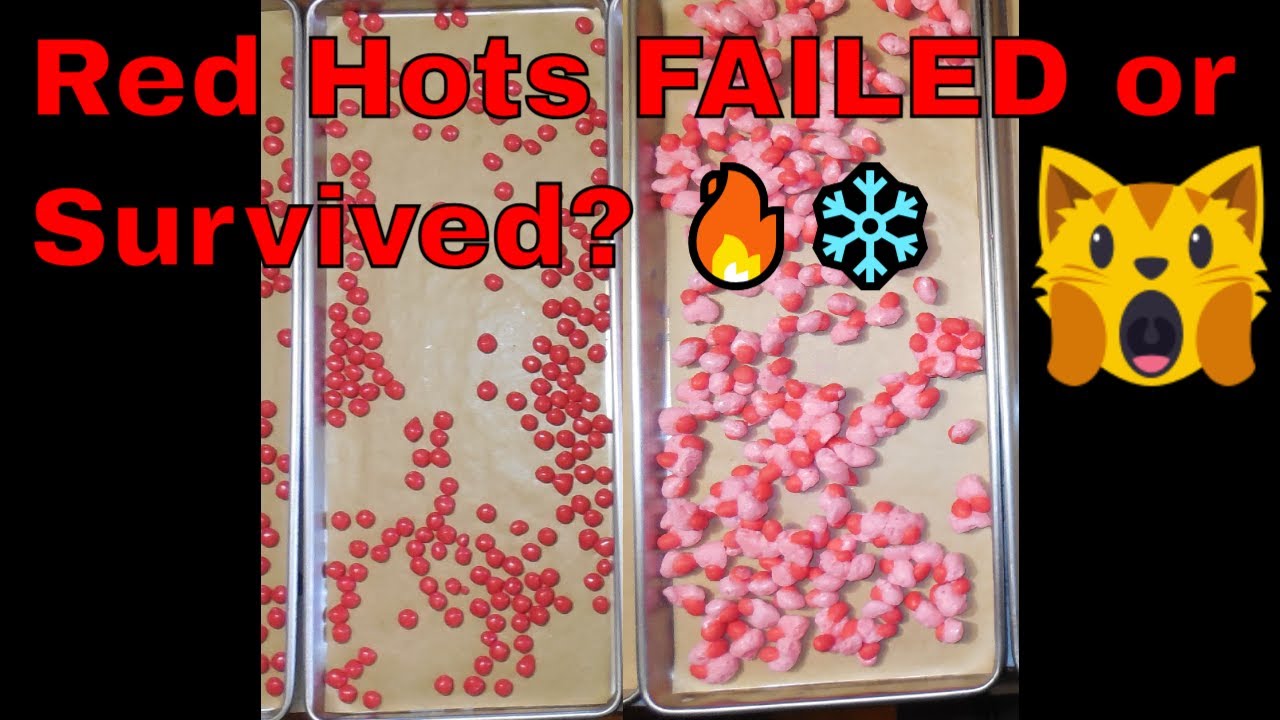 Harvest Right Version 6 | Freeze Drying Red Hots – Did They Survive? 🔥❄️