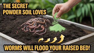 Sprinkle THIS Powder Mix And Worms Will Explode In Your Garden Bed!