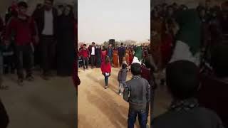 Şanlıurfa aşiret düğünü canlı müzik yum elhub Yuma