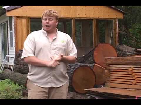 Can you make money with a portable sawmill business 
