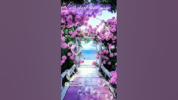 فواتح سوره الصف بصوت القارئ الشيخ فارس عبا #يوتيوب