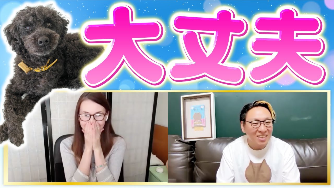 てんかんを持つ犬と話してみた