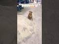 Abee bhaiya kuch khane vhane ke liye doge yah nhi 🥰😂❤️🧿 #trending #funny #shorts #viral #fyp