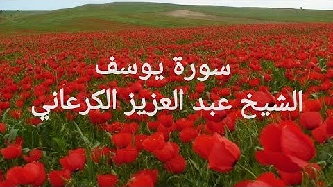 تلاوة خاشعة سورة يوسف بصوت رائع الشيخ عبد العزيز الكرعاني