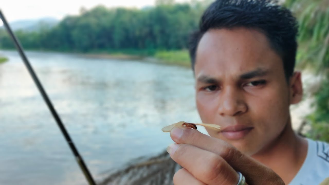 Mancing pake umpan laron lihat hasilnya