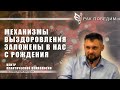 Механизмы выздоровления заложены в нас с рождения