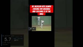 Bo jackson hits 20mph chasing rhe baseball and catching it at the wall