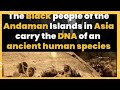 The original africans in andaman islands african dna discovery