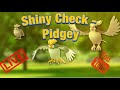 POKEMON GO SHINY PIDGEY HUNT