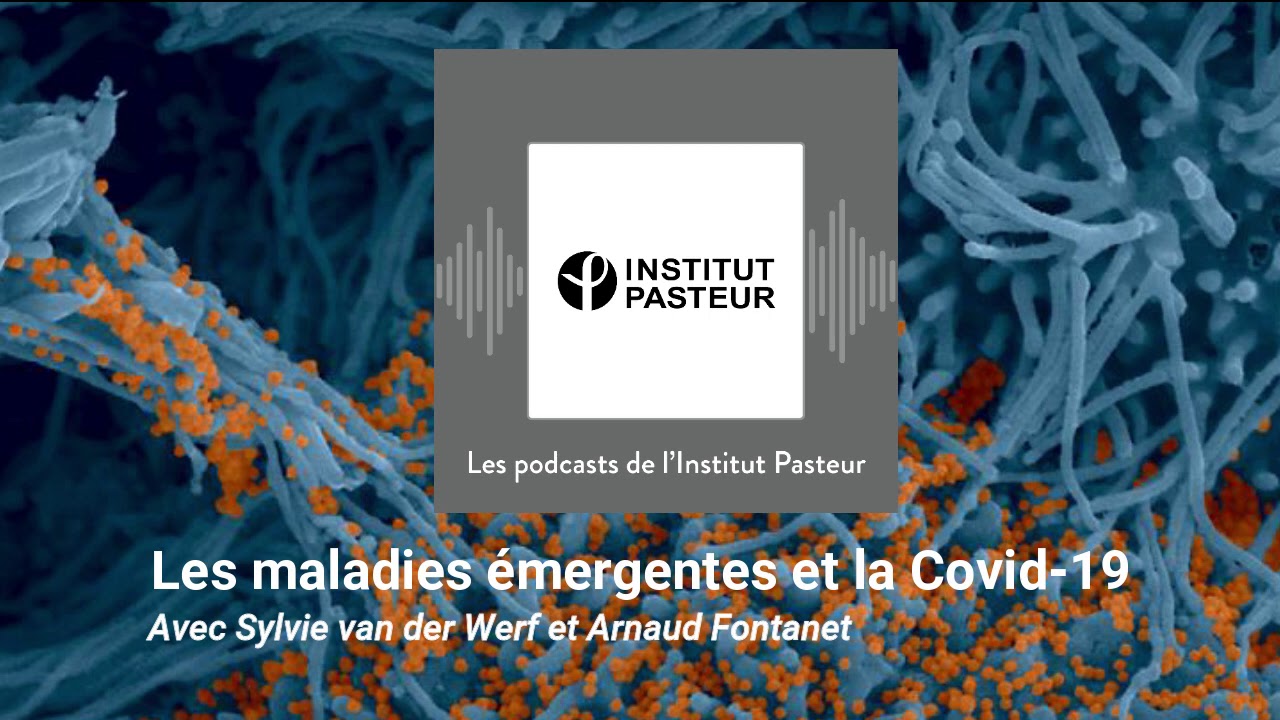 Maladie Emergente Comment S En Sortir – NSQA